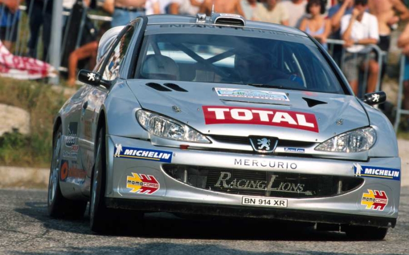 La Peugeot 206 WRC di Renato Travaglia