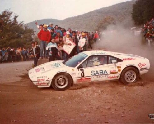 Waldegaard-Thorzelius, Rally di Sanremo 1983