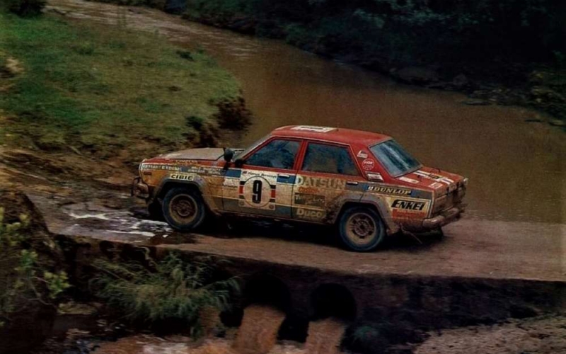 Shekhar Mehta, Safari Rally 1979